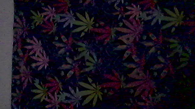 libraxxxstudios online show from 07.03.26