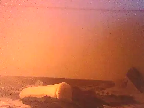 gatitarabiosad online show from 06.02.26