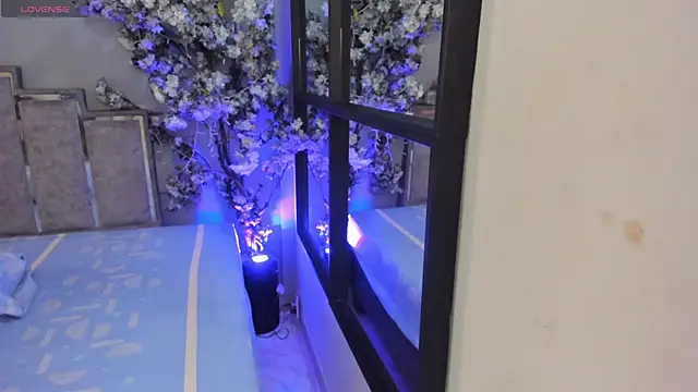 Snapshot of Nalapalmer chatting on 02.07.26 Nalapalmer online show from 02.07.26