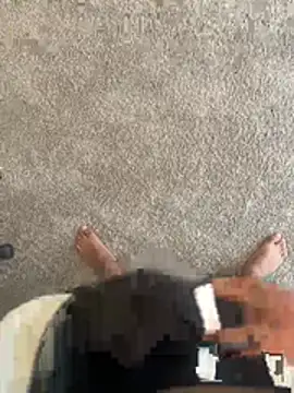 jose vnzla online show from 03.05.26