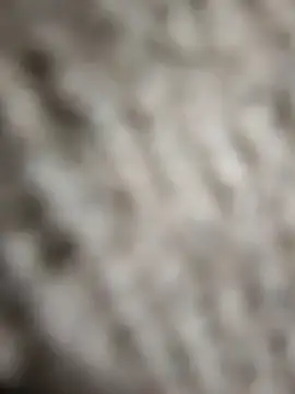 Snapshot of Flexxxo09 chatting on 02.04.26 Flexxxo09 online show from 02.04.26