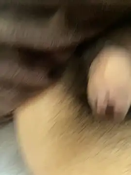 oyuto0831 online show from 04.03.26