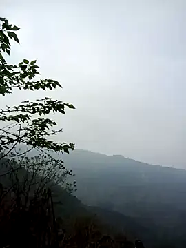 cuunon11 online show from 03.01.26