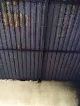 Linka998 online show from 03.13.26