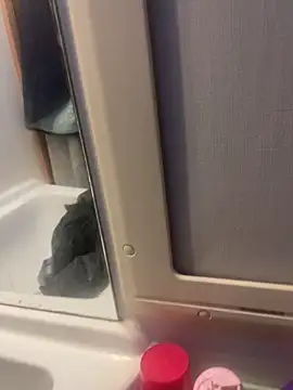 stallone italiano 62 online show from 02.26.26