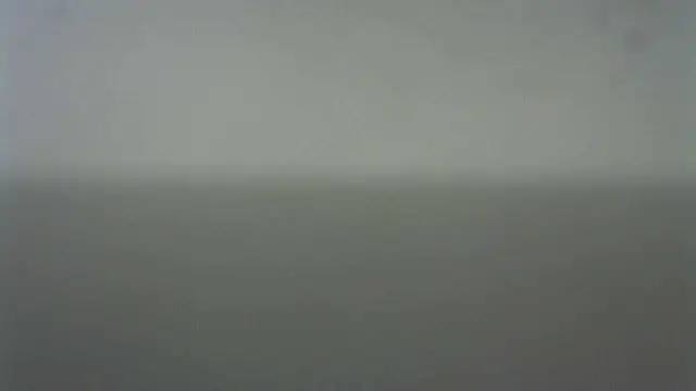 Thommas8a online show from 02.22.26