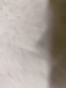 Snapshot of chennai_sexyboy chatting on 02.08.26 chennai sexyboy online show from 02.08.26