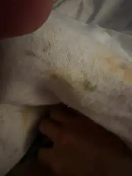 Snapshot of sbollando13 chatting on 02.08.26 sbollando13 online show from 02.08.26