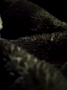 Snapshot of aryanvfit chatting on 02.09.26 aryanvfit online show from 02.09.26