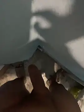 Snapshot of tardecaliente chatting on 02.26.26 tardecaliente online show from 02.26.26