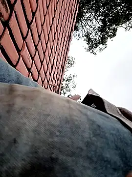 nego5628 online show from 04.01.26