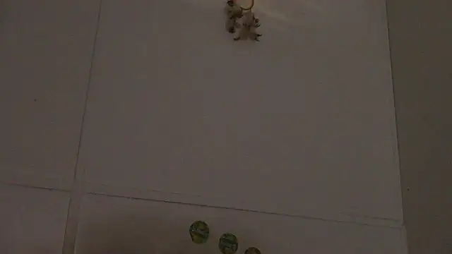 Snapshot of pbilip7787 chatting on 02.28.26 pbilip7787 online show from 02.28.26