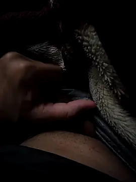 MoMnsi online show from 02.25.26