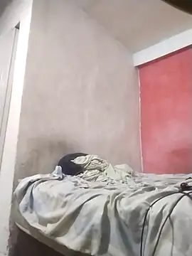 Arteiroelo online show from 04.11.26