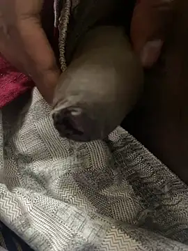 Magic Spell Tamil online show from 02.20.26