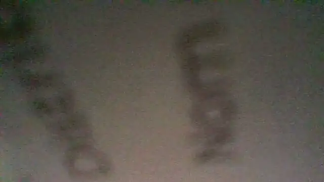 BonneQueueBonjour online show from 03.12.26