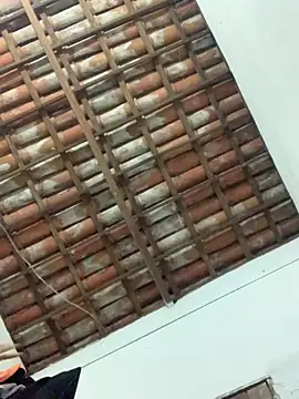 Navresseed online show from 04.18.26