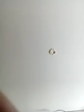 ladyyhardcore online show from 02.19.26