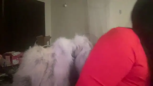 Snapshot of FarahKatt chatting on 02.14.26 FarahKatt online show from 02.14.26