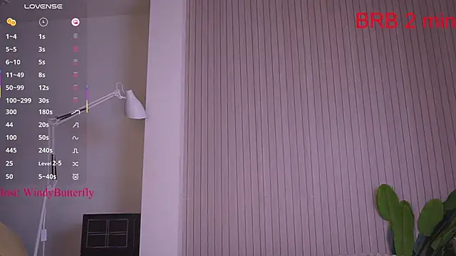 WindyButterfly online show from 04.21.26