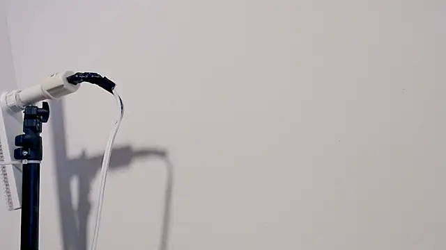 MARYXS1 online show from 02.24.26