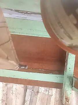 Snapshot of euchapo99 chatting on 02.19.26 euchapo99 online show from 02.19.26