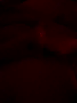 shark822 online show from 05.31.26