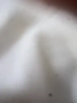 Jaybraconect online show from 02.21.26