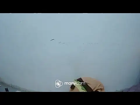 exotic girl69x online show from 03.04.26