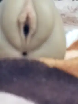 Snapshot of Mikecrazyhy chatting on 02.25.26 Mikecrazyhy online show from 02.25.26