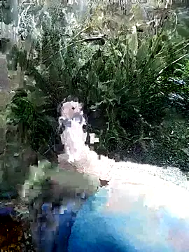 mar coral2 online show from 07.07.26