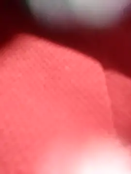 jackkk0011 online show from 02.26.26