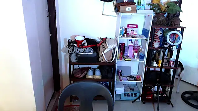 sweetasian zoe online show from 04.17.26