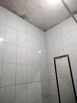 trox memide21cm online show from 05.11.26