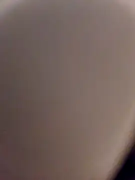 skynct2007 online show from 02.24.26