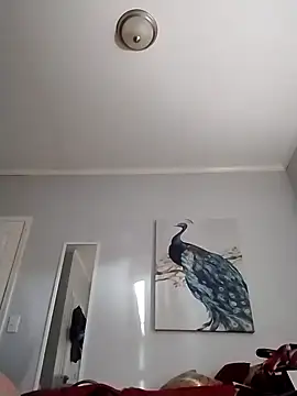 coestet online show from 04.03.26