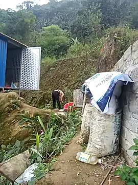 dualeo11 online show from 03.12.26