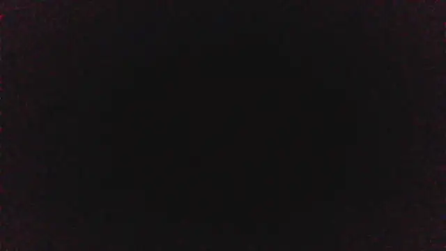 pinkycat online show from 04.08.26