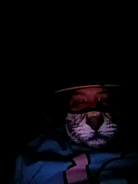 Snapshot of Charlygunslove chatting on 03.03.26 Charlygunslove online show from 03.03.26