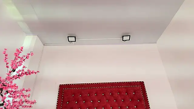 Daphne glas online show from 04.01.26