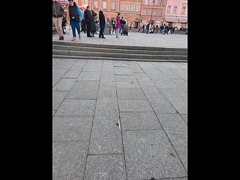 PublicMarekFlashDick online show from 03.14.26