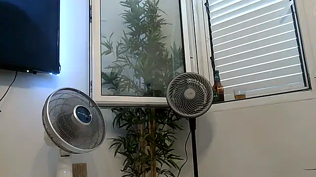 Snapshot of yanick931 chatting on 07.27.26 yanick931 online show from 07.27.26