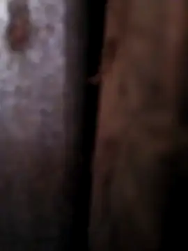 Any 120 online show from 04.26.26