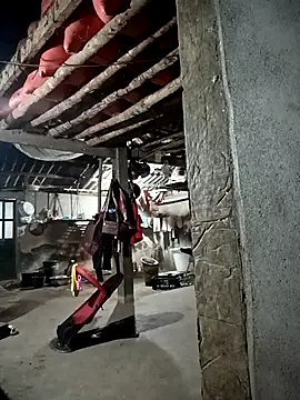 kalara kail online show from 03.30.26