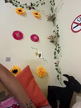SpidderSecret online show from 06.04.26