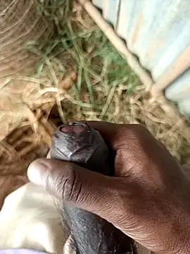 sanju 5418 online show from 04.15.26