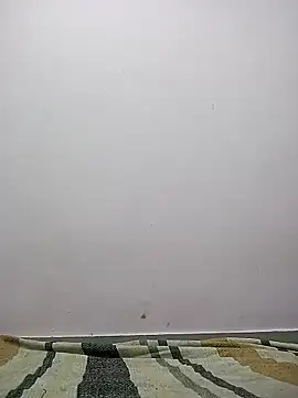 M  Payal   online show from 03.22.26