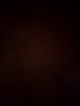 VENUSH STYLO online show from 03.31.26