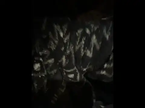 Teddy4420 online show from 05.22.26