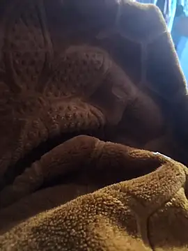 Snapshot of sexy-girl147 chatting on 04.05.26 sexy-girl147 online show from 04.05.26